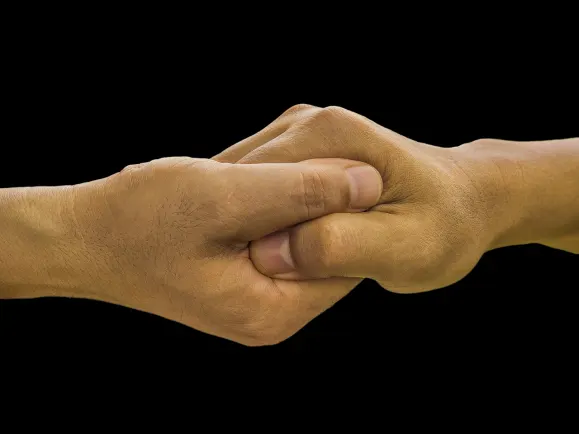 Live Cazino Cazinou Suport